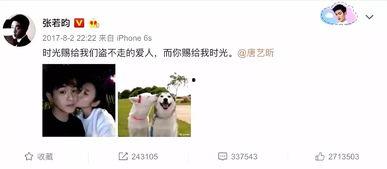 娱乐吃瓜张翰是谁啊视频,娱乐吃瓜界的风云人物